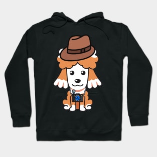 Funny poodle is holding a camera Hoodie